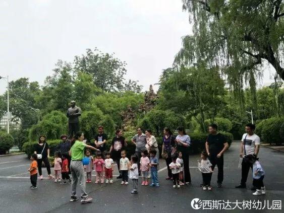 能自由奔跑、酣畅呼吸的——大树幼儿园