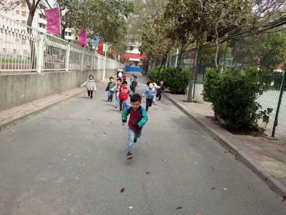 能自由奔跑、酣畅呼吸的——大树幼儿园